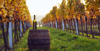 Entertaining with Wine