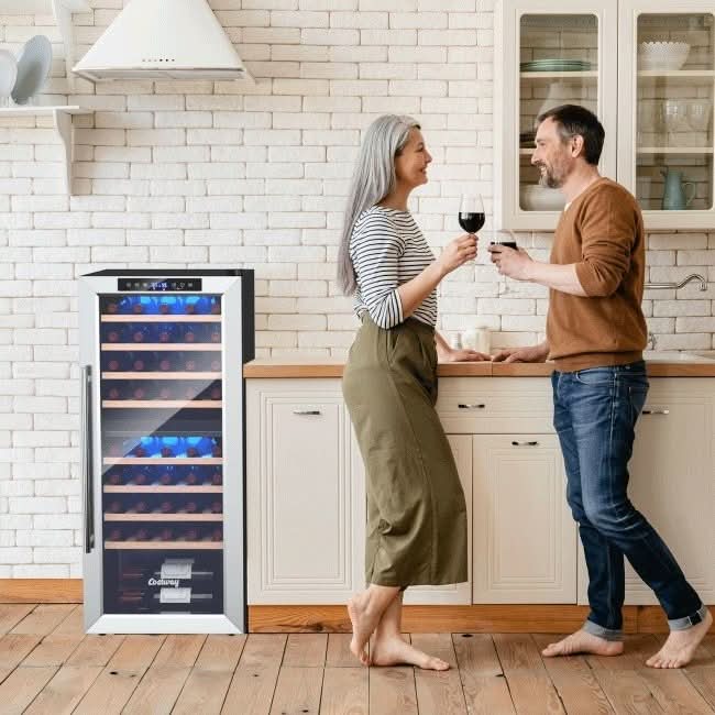 Costway Premium Freestanding Dual Zone Wine Cooler Fridge Cabinet, 43 ...