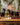 Cava Wine Tasting Kit with 4 Glass Carafes