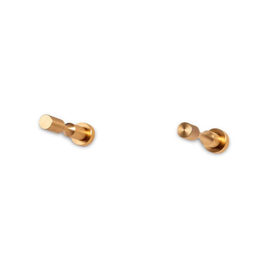 Vino Pins for Wall Mounted Wine Bottles in Golden Bronze