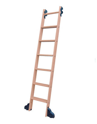 10 Foot Ladder