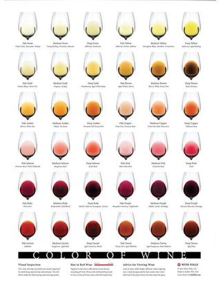 Color of Wine Poster